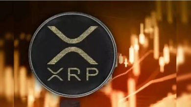 Elon Musk XRP: Will He Push Ripple to New Heights?