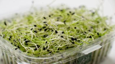 market growth data analysis