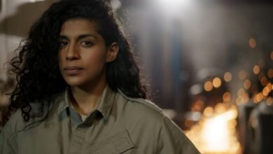 industry insight digest overview