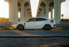 industry performance forecast analysis