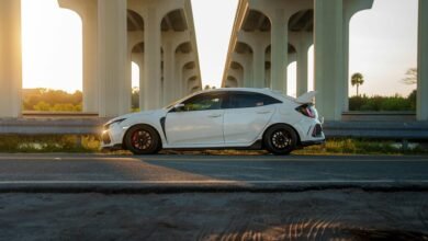 industry performance forecast analysis