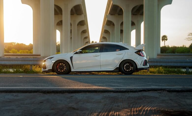 industry performance forecast analysis