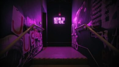 premium industry trend analysis