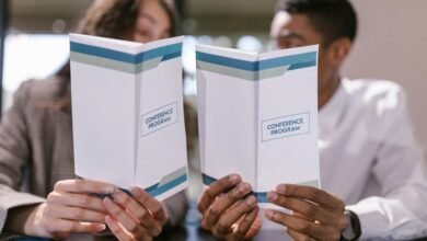 premium sector dynamics analysis