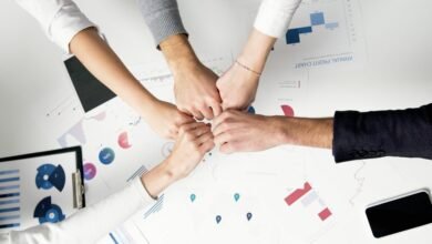 sector dynamics executive report