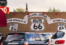 audience growth strategy 6265076400