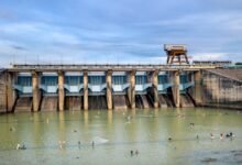 digital loyalty program retention