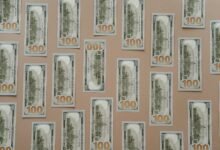 profit revenue stability analysis