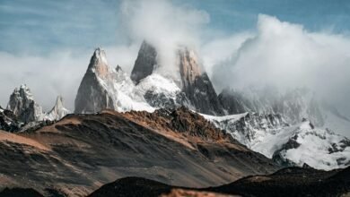 roi conversion success system