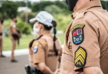 search authority rankings route