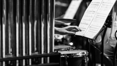 search reach performance hub