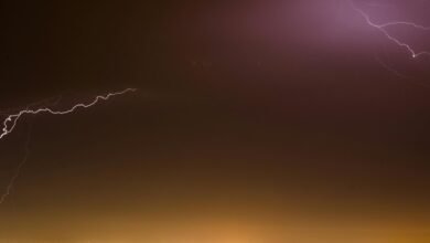 stellar growth surge path